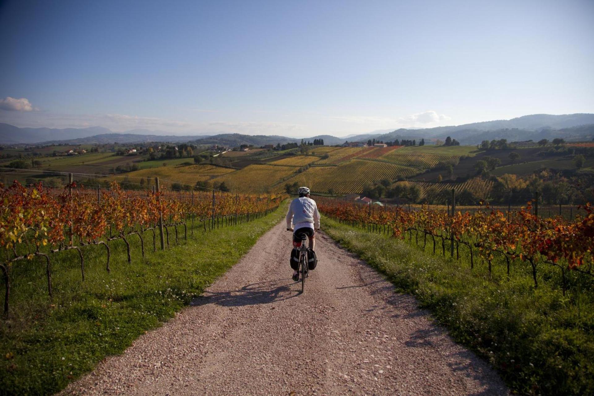 Agriturismo Bio Tra Cielo E Terra Διαμέρισμα Grutti Εξωτερικό φωτογραφία