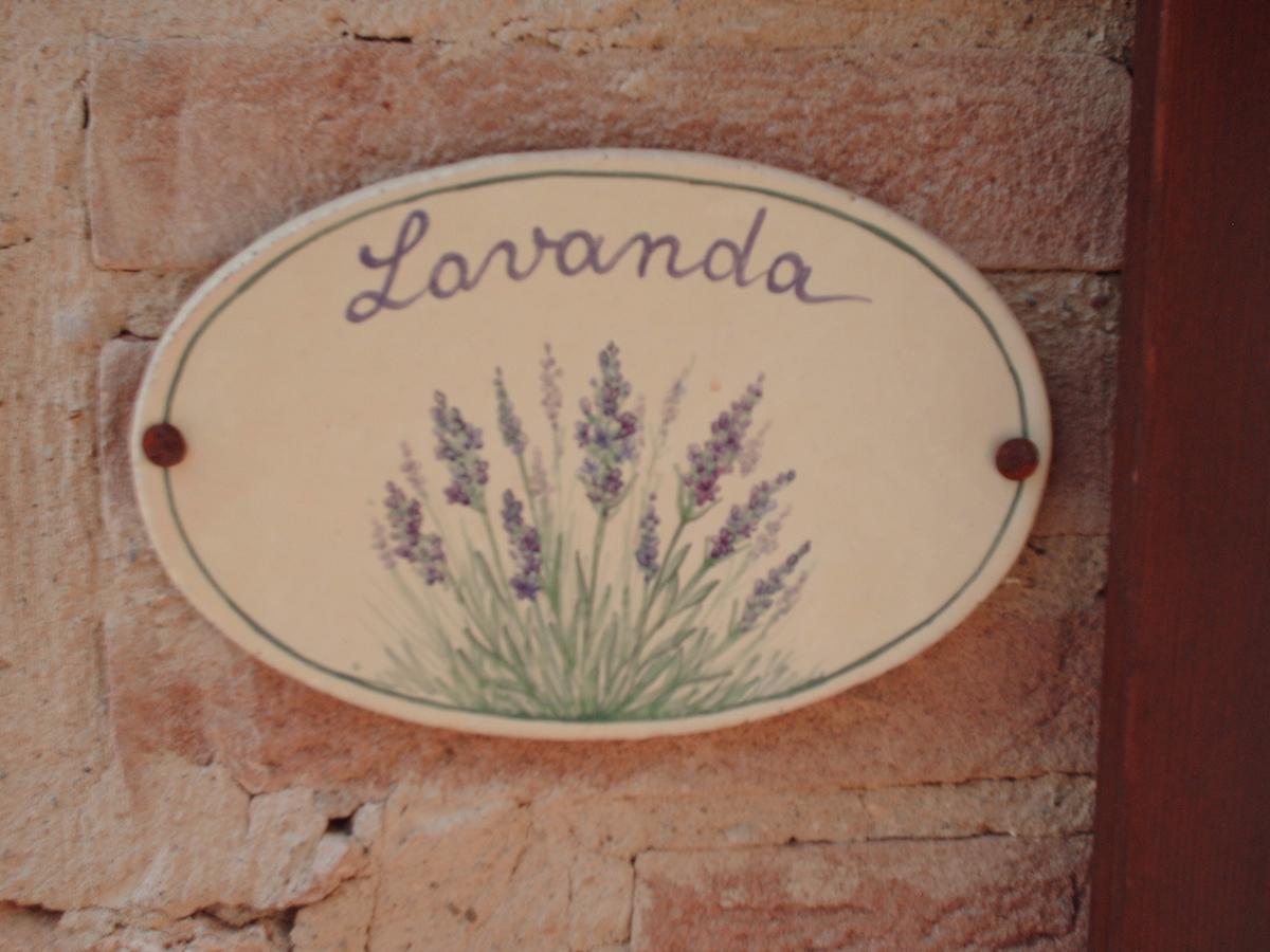 Agriturismo Bio Tra Cielo E Terra Διαμέρισμα Grutti Εξωτερικό φωτογραφία