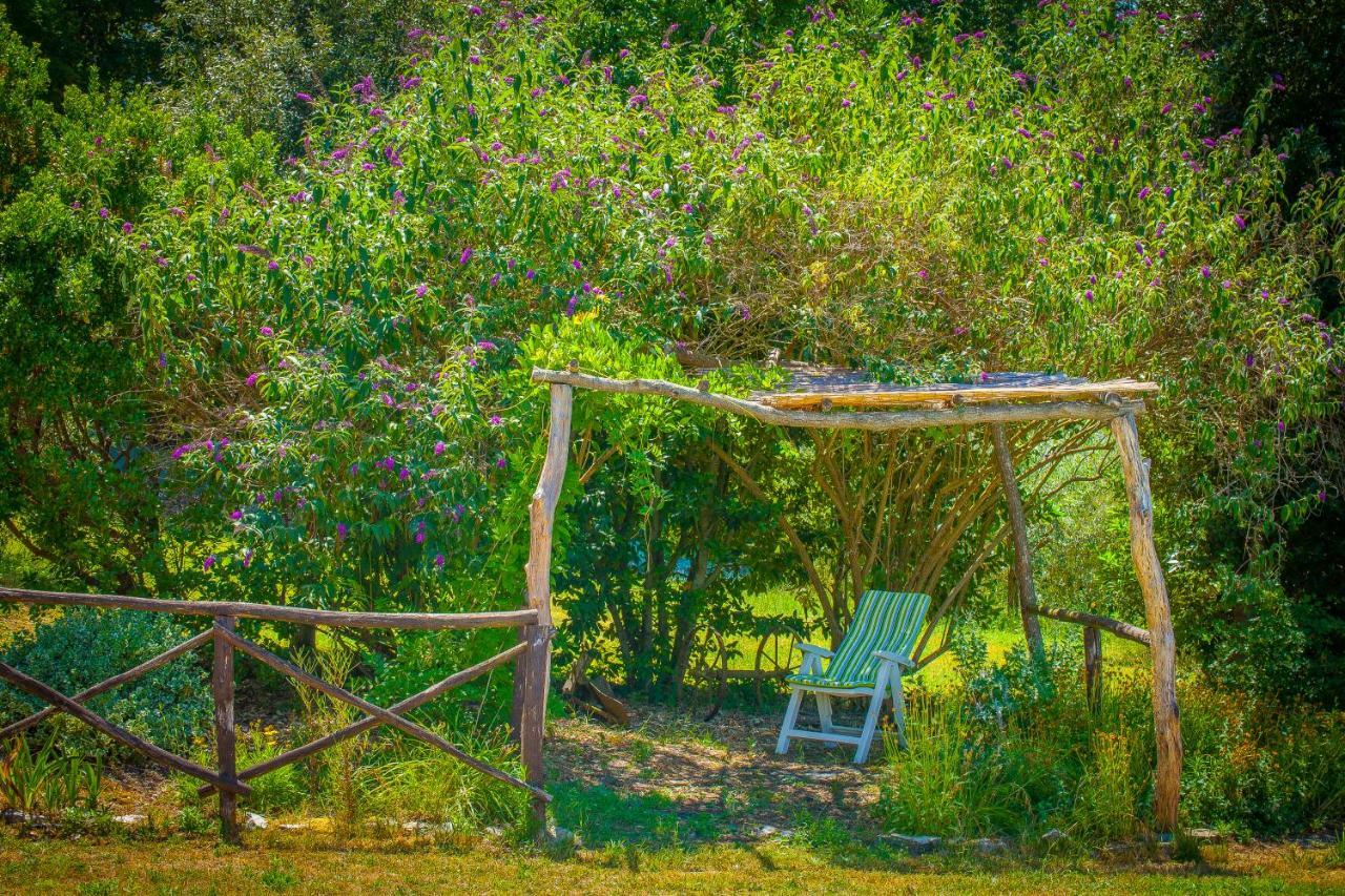 Agriturismo Bio Tra Cielo E Terra Διαμέρισμα Grutti Εξωτερικό φωτογραφία