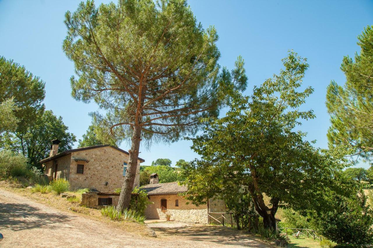 Agriturismo Bio Tra Cielo E Terra Διαμέρισμα Grutti Εξωτερικό φωτογραφία