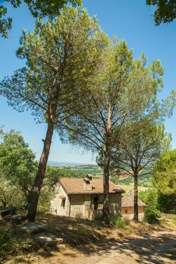 Agriturismo Bio Tra Cielo E Terra Διαμέρισμα Grutti Εξωτερικό φωτογραφία