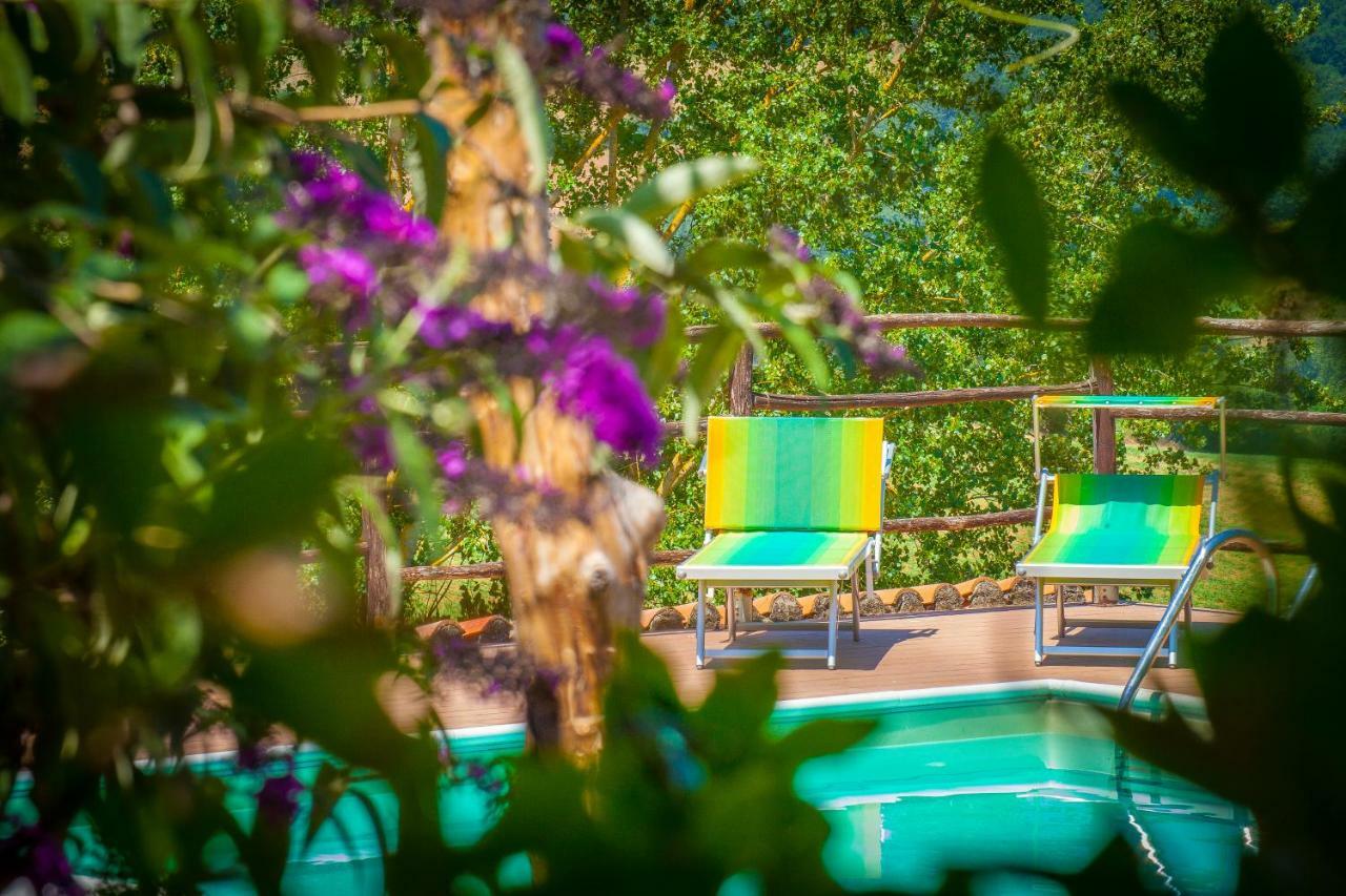 Agriturismo Bio Tra Cielo E Terra Διαμέρισμα Grutti Εξωτερικό φωτογραφία