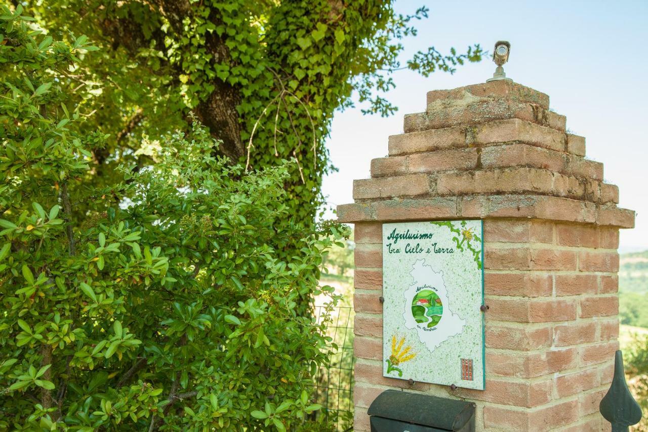 Agriturismo Bio Tra Cielo E Terra Διαμέρισμα Grutti Εξωτερικό φωτογραφία